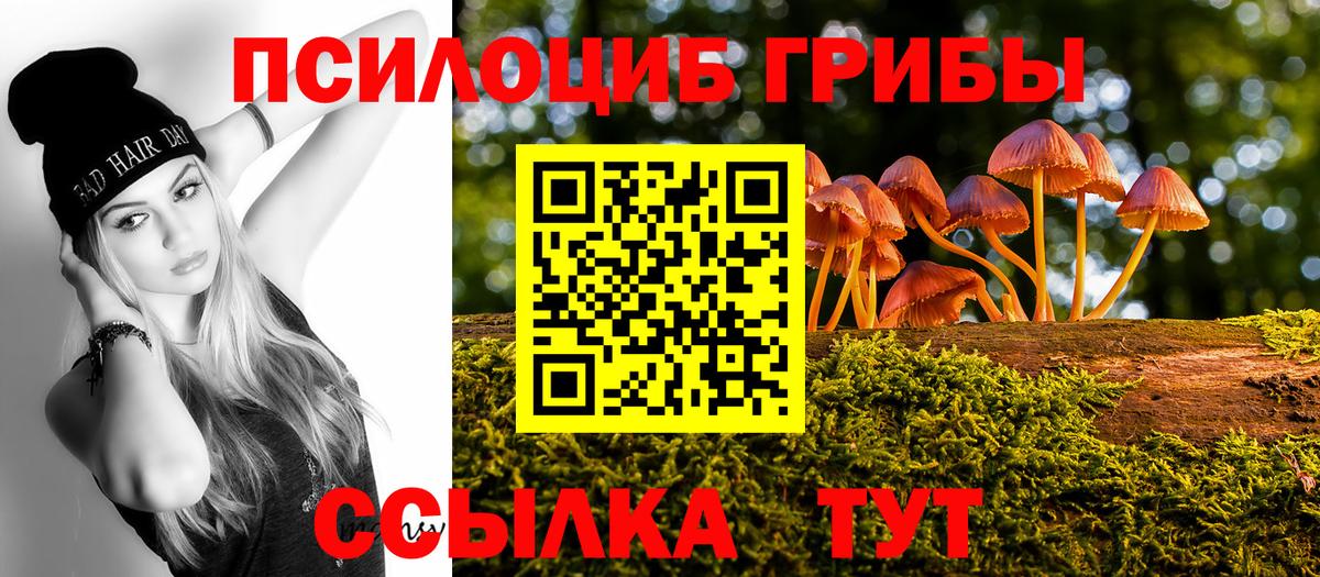 Галлюциногенные грибы GOLDEN TEACHER Кузнецк