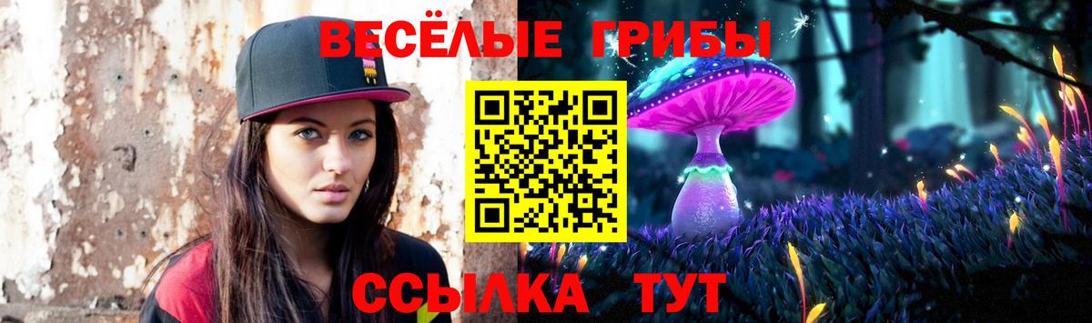 Галлюциногенные грибы Psilocybine cubensis  Вход с VPN  Кузнецк 